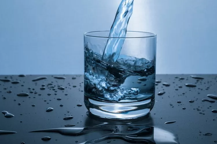 Misteri Cairan Ikan Berkumis Petunjuk Tersembunyi di Balik Teka teki MOS 2025