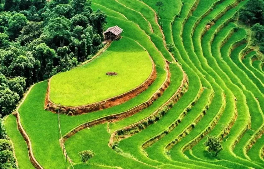 Pesona_Abadi_Sawah_Banaue_Warisan_Budaya_Ifugao_di_Pegunungan Pesona Abadi Sawah Banaue Warisan Budaya Ifugao di Pegunungan