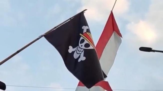 Hapus Kredit Macet Bebaskan Pajak Reaksi Mengejutkan Kritik Bendera One Piece