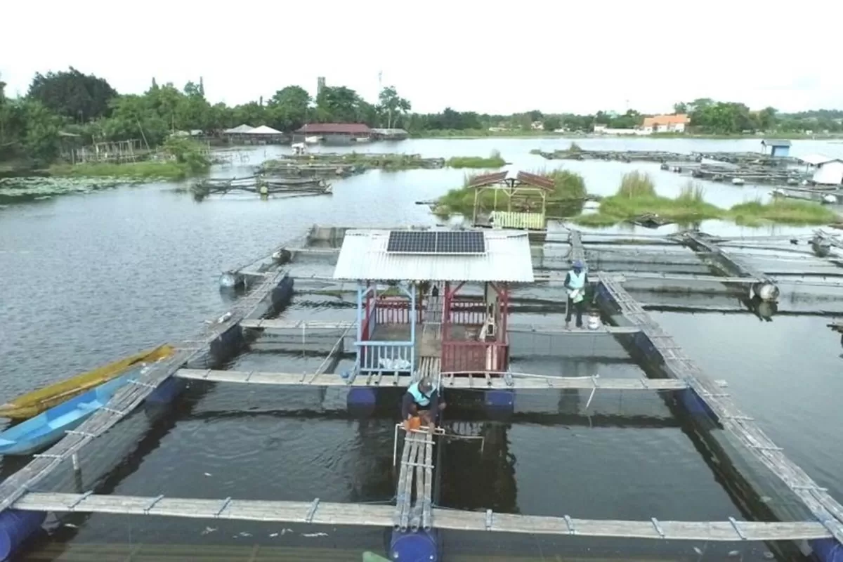 PLN Butuh 11000 Tenaga Ahli Energi Terbarukan Pendidikan Jadi Kunci