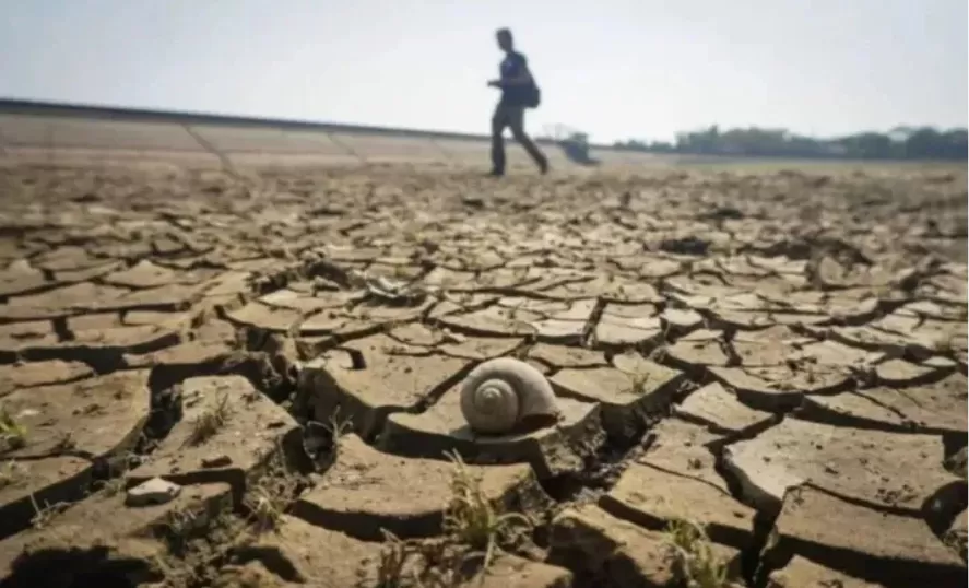 BMKG Bali Tejakula Krisis Air Musim Hujan Kapan Datang Mengubah Nasib Petani